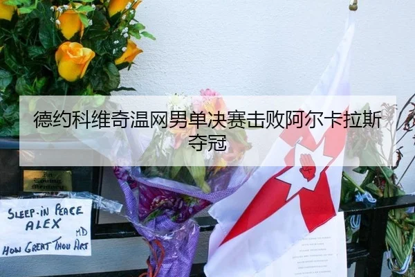 德约科维奇温网男单决赛击败阿尔卡拉斯夺冠