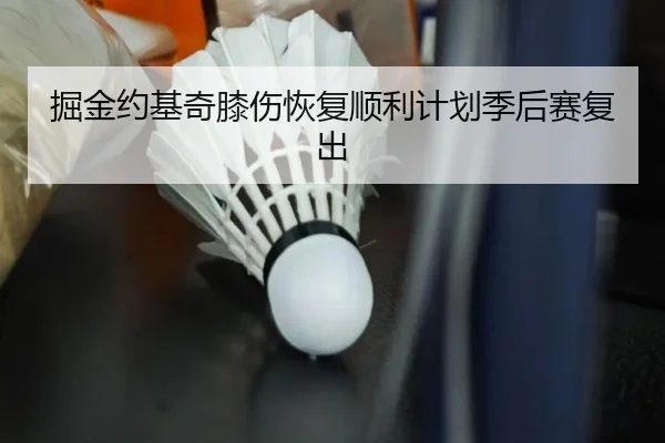 掘金约基奇膝伤恢复顺利计划季后赛复出